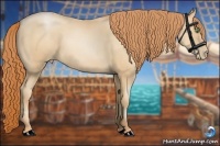 Horse Color:Classic Champagne Pearl 