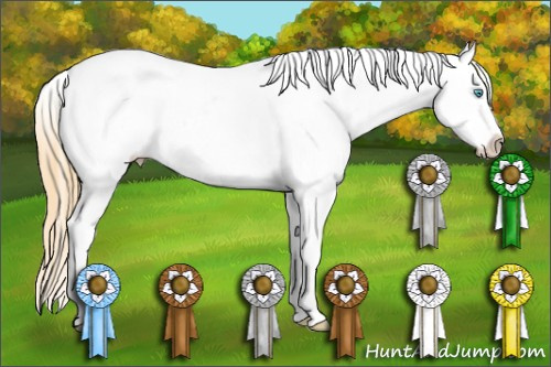 Horse Color:Buckskin Pearl Sabino Tobiano Blanket 
