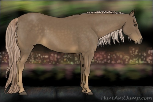 Horse Color:Chocolate Palomino Frame 