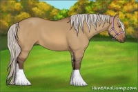 Horse Color:Silver Bay Dun Sabino