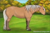 Horse Color:Silver Bay Sabino
