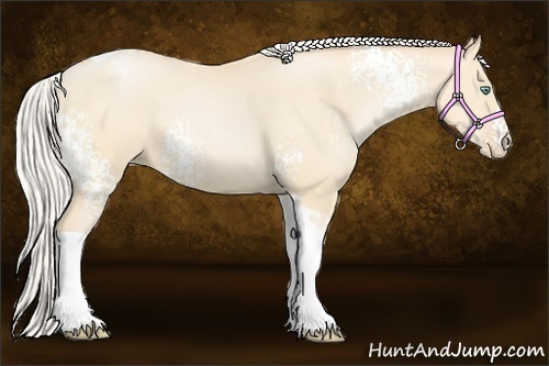 Horse Color:White Spotted Silver Buckskin Pearl Tobiano