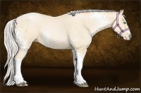 Horse Color:White Spotted Silver Buckskin Pearl Tobiano