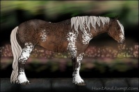 Horse Color:White Spotted Silver Brown Ice 
