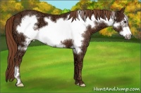Horse Color:Chestnut Ice Frame 