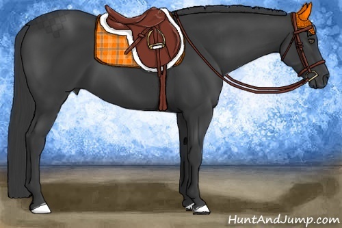 Horse Color:Smoky Black Sabino Frame