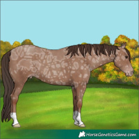 Horse Color:Classic Champagne Ice 