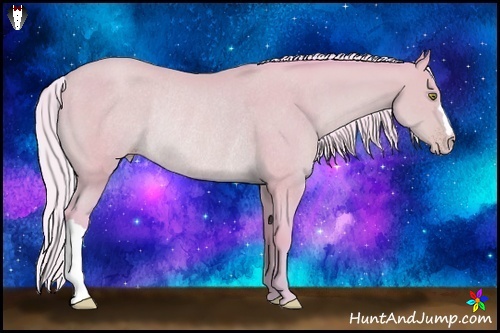 Horse Color:Watercolor Silver Amber Champagne Rabicano 