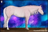 Horse Color:Watercolor Silver Amber Champagne Rabicano 