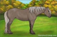 Horse Color:Silver Grullo 