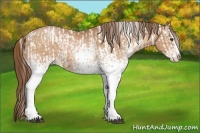 Horse Color:Liver Red Roan Sabino Appaloosa and White Spotted Bay Pearl