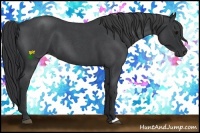 Horse Color:Blue Roan 