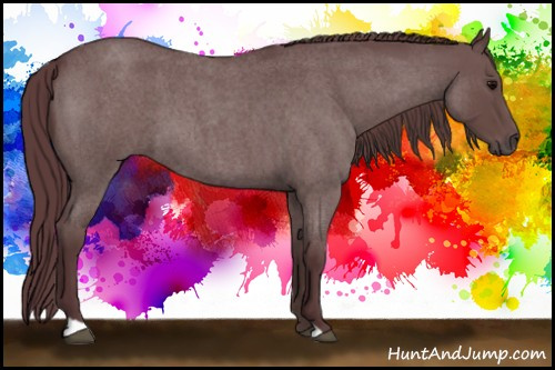 Horse Color:Chocolate Blue Roan 