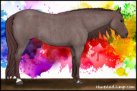 Horse Color:Chocolate Blue Roan
