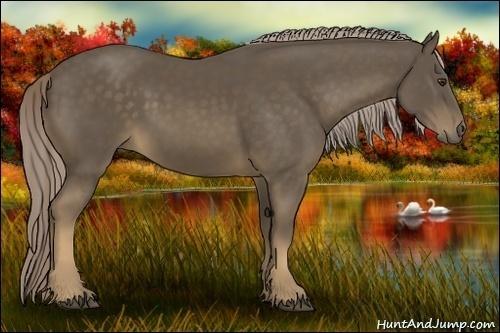 Horse Color:Chocolate Palomino 