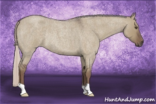 Horse Color:Silver Grullo Roan Rabicano 
