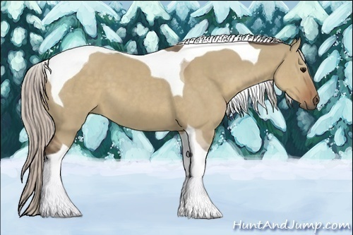 Horse Color:Silver Grullo Tobiano