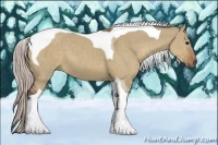 Horse Color:Silver Grullo Tobiano