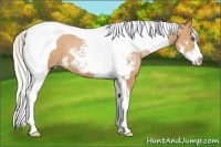 Horse Color:White Spotted Silver Bay Pearl Splash Tobiano Frame