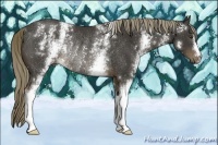 Horse Color:White Spotted Liver Chestnut Rabicano 