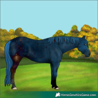 Horse Color:ERROR: UNKNOWN ANOMALY