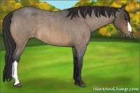 Horse Color:Brown Roan Varnish 