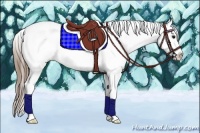 Horse Color:Smoky Black Sabino Appaloosa 