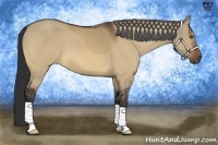 Horse Color:Bay Dun