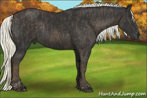 Horse Color:Liver Chestnut Sabino Rabicano Brindle