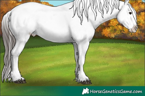 Horse Color:Bay Sabino Tobiano Blanket Rabicano and Liver Chestnut Sabino Tobiano Blanket Rabicano