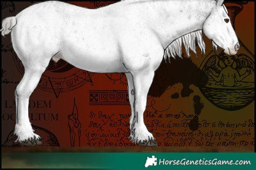 Horse Color:White Spotted Liver Chestnut Mushroom Sabino Rabicano and White Spotted Liver Chestnut Mushroom Sabino Rabicano