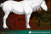 Horse Color:White Spotted Liver Chestnut Mushroom Sabino Rabicano and White Spotted Liver Chestnut Mushroom Sabino Rabicano