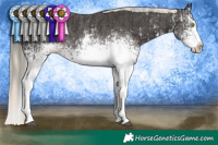 Horse Color:White Spotted Liver Chestnut Mushroom Sabino Splash Rabicano and White Spotted Liver Chestnut Mushroom Sabino Splash Rabicano