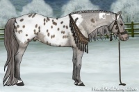 Horse Color:White Spotted Bay Dun Sabino Appaloosa Rabicano  Brindle
