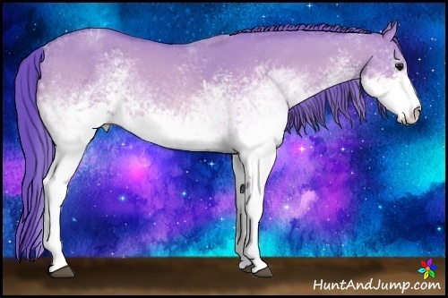 Horse Color:Watercolor White Spotted Bay Dun 