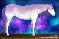 Horse Color:Watercolor White Spotted Bay Dun
