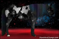 Horse Color:ERROR: UNKNOWN ANOMALY and ERROR: UNKNOWN ANOMALY