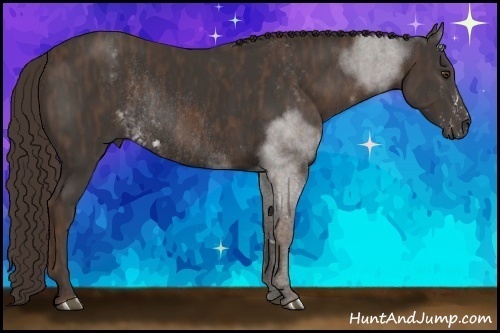 Horse Color:Liver Chestnut Sabino Rabicano  Brindle