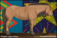 Horse Color:Buckskin Sabino Rabicano  Brindle