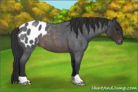 Horse Color:Brown Roan Blanket 