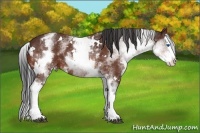 Horse Color:White Spotted Brown Splash Varnish