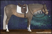 Horse Color:Silver Smoky Black 