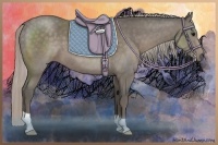 Horse Color:Silver Black 