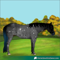 Horse Color:ERROR: UNKNOWN ANOMALY