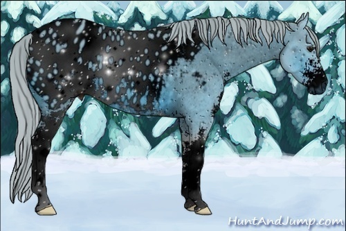 Horse Color:ERROR: UNKNOWN ANOMALY