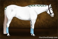 Horse Color:Chestnut Sabino Splash Appaloosa 