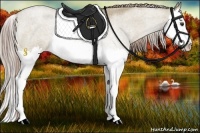 Horse Color:Chocolate Palomino Roan Dun Sabino Splash Rabicano 