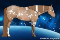 Horse Color:White Spotted Brown Pearl 