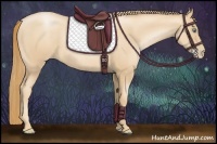 Horse Color:Gold Champagne Pearl 