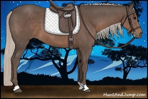 Horse Color:Silver Black 